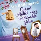 Cursus Antiek voor verdwaalde zielen af Åsa Hallengård