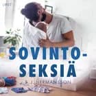 Sovintoseksiä – eroottinen novelli