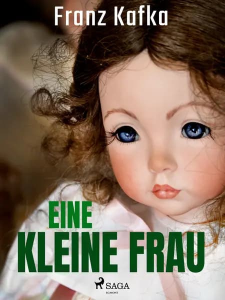 Eine kleine Frau af Franz Kafka