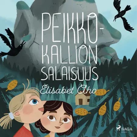 Peikkokallion salaisuus af Elisabet Aho