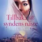 Tillbaka till syndens näste - erotisk novell af Sibel Melek