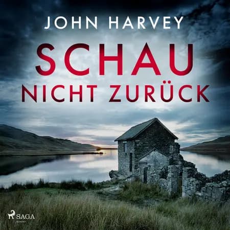 Schau nicht zurück af John Harvey