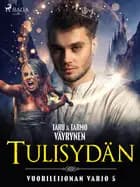 Tulisydän af Tarmo Väyrynen og Taru Väyrynen