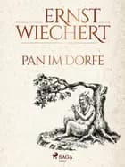 Pan im Dorfe af Ernst Wiechert