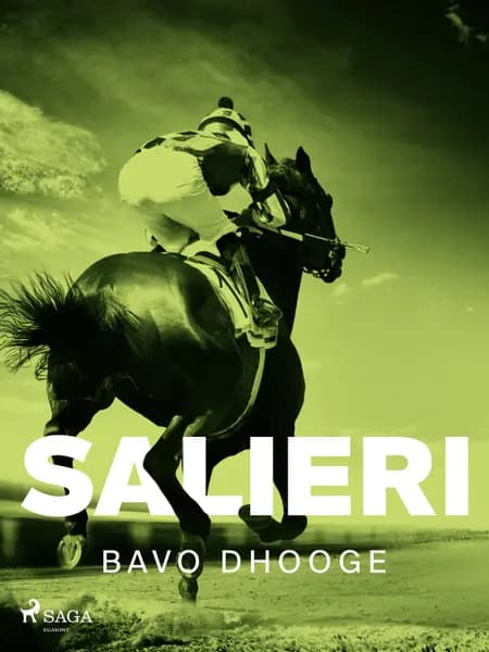 Salieri af Bavo Dhooge