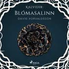 Kalviðir: Blómasalinn af Davíð Þorvaldsson