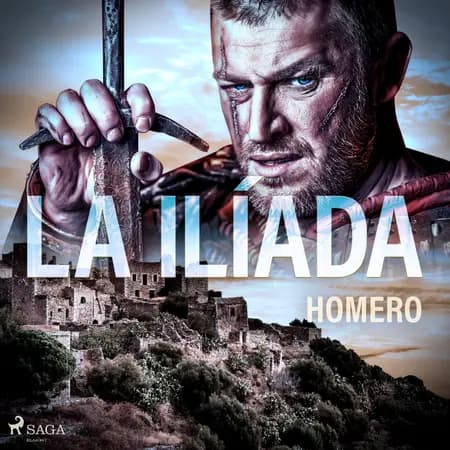 La ilíada af Homer