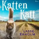 Katten Katt af Lasse Ekholm