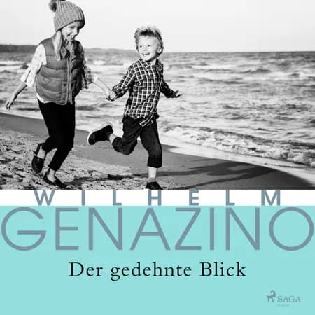 Der gedehnte Blick af Wilhelm Genazino