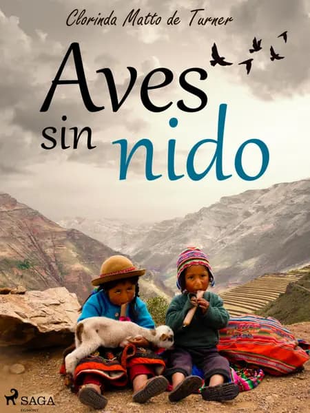 Aves sin nido af Clorinda Matto de Turner