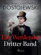 Ein Werdender - Dritter Band af Fjodor M Dostojewski