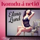 Komdu á netið-  Erótísk smásaga af Elena Lund