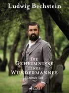 Die Geheimnisse eines Wundermannes - Dritter Teil af Ludwig Bechstein