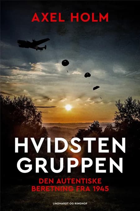 Hvidsten gruppen af Axel Holm