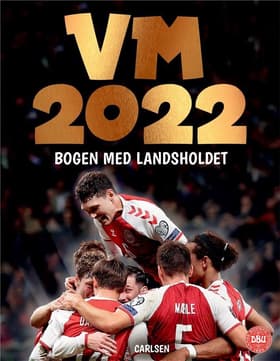 VM 2022 - bogen med herrelandsholdet af Ole Sønnichsen