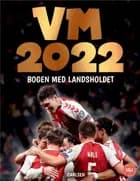 VM 2022 - bogen med herrelandsholdet
