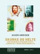 Skurke og helte - fem udskældte danske statsledere set i bagklogskabens lys (Storskrift)