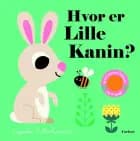 Hvor er Lille Kanin? 