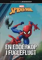 Spider-Man - En edderkop i fugleflugt