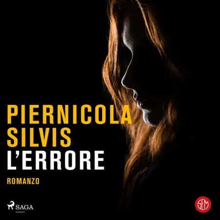 L'errore af Piernicola Silvis