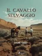 Il cavallo selvaggio