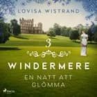 En natt att glömma af Lovisa Wistrand