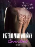 Czarci dom 6: Przebudzenie wiedźmy – seria erotyczna