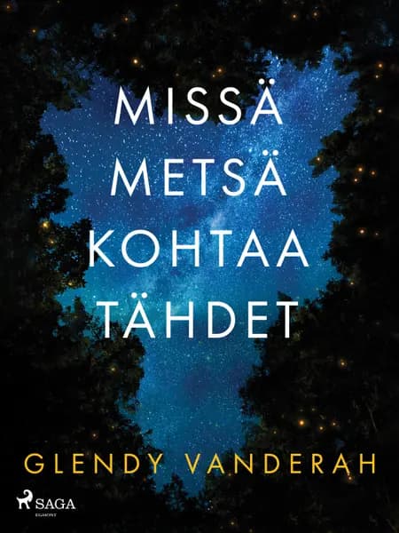 Missä metsä kohtaa tähdet af Glendy Vanderah