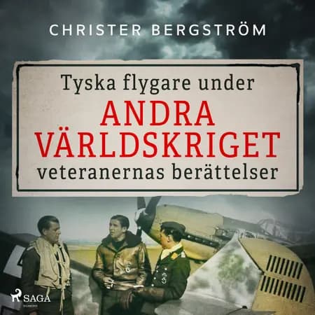 Tyska flygare under andra världskriget : veteranernas berättelser af Christer Bergström