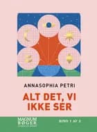 Alt det, vi ikke ser