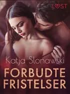 Forbudte fristelser – erotiske noveller