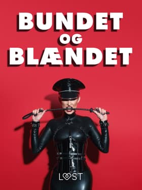 Bundet og blændet - erotiske noveller af Bente Clod