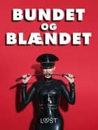 Bundet og blændet - erotiske noveller