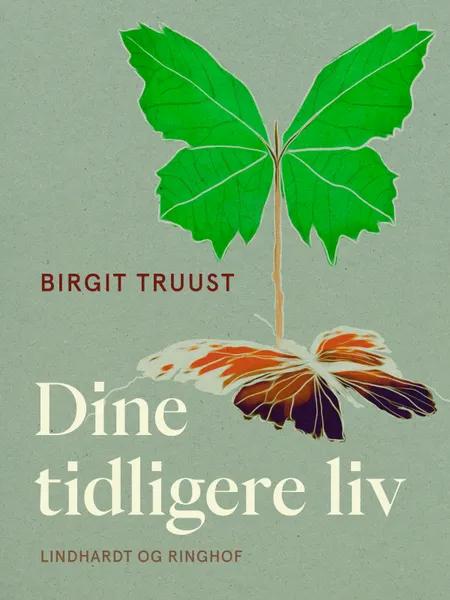 Dine tidligere liv af Birgit Truust