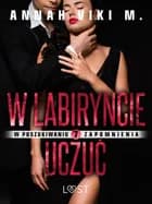 W poszukiwaniu zapomnienia 7: W labiryncie uczuć – opowiadanie erotyczne