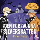 Den försvunna silverskatten af Peter Gissy