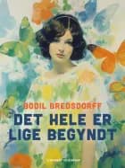 Det hele er lige begyndt