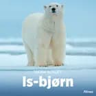 Isbjørn, Grøn Fagklub af Maria Roslev