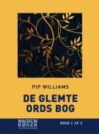 De glemte ords bog