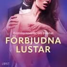 Förbjudna lustar: erotiska noveller om otrohet af Desirée Coy, Camille Bech og Lisa Vild