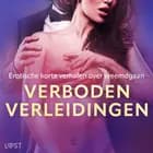 Verboden Verleidingen: Erotische korte verhalen over vreemdgaan af Camille Bech, Lisa Vild og Erika Svensson