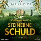 Steinerne Schuld af Paolo Riva