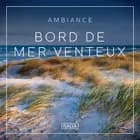Ambiance – Bord de mer venteux