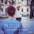Mielizna przeszłości