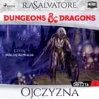 Dungeons&Dragons. Legenda Drizzta. Tom 1: Ojczyzna