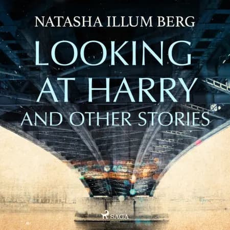 Looking at Harry and Other Stories af Natasha Illum Berg