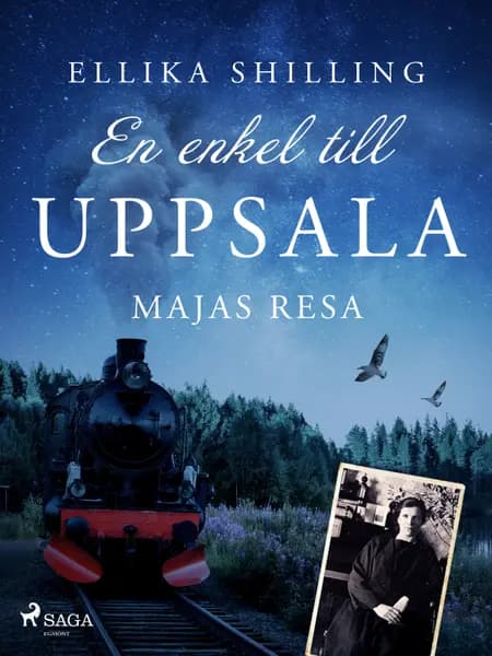 En enkel till Uppsala af Ellika Shilling
