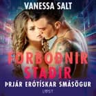 Forboðnir staðir – þrjár erótískar smásögur af Vanessa Salt