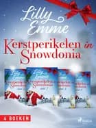 Kerstperikelen in Snowdonia af Lilly Emme