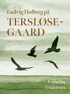 Ludvig Holberg på Tersløsegaard af Vilhelm Andersen